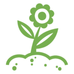 Fleur