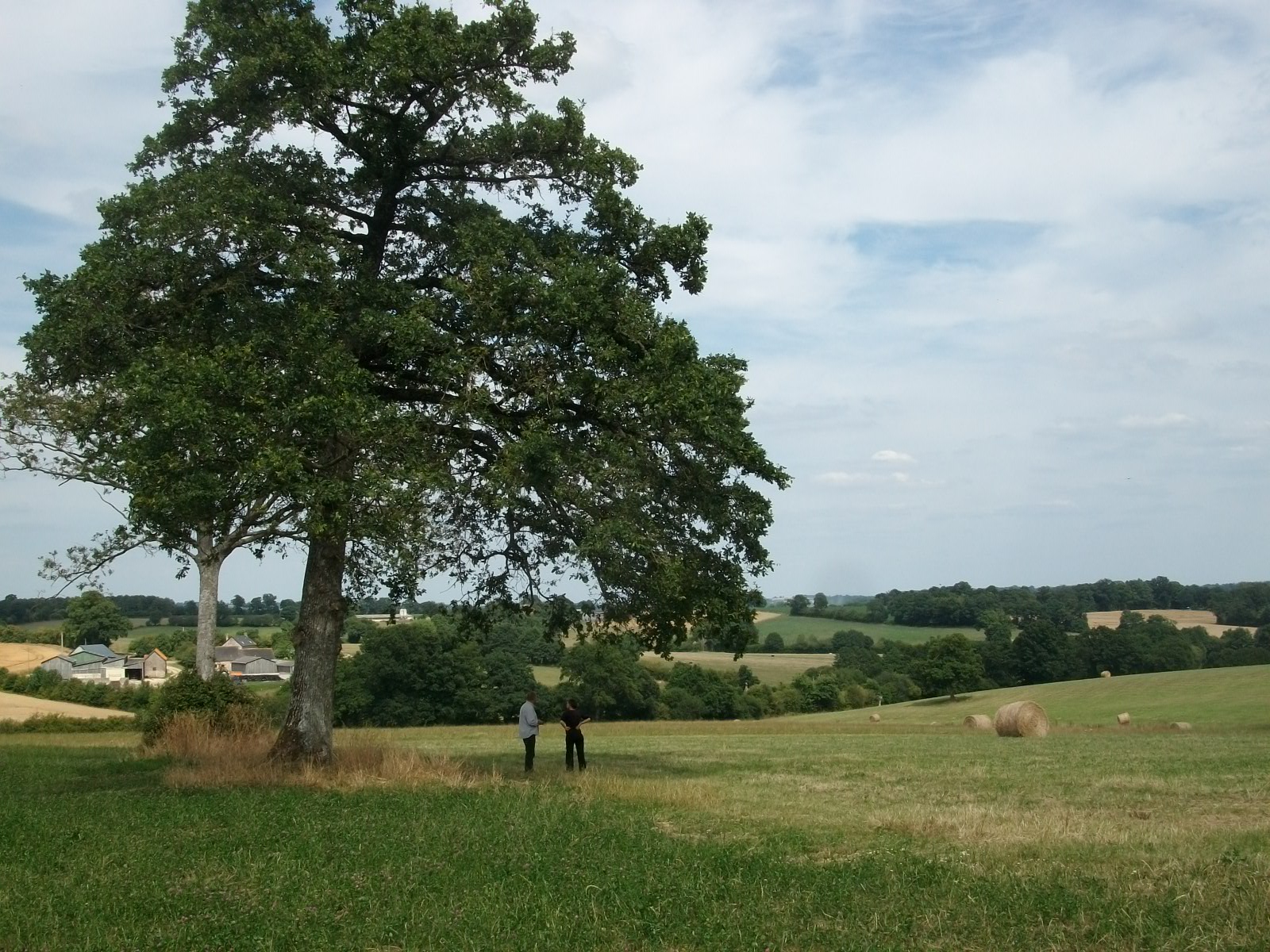 Le Plessis : 12 07 2011