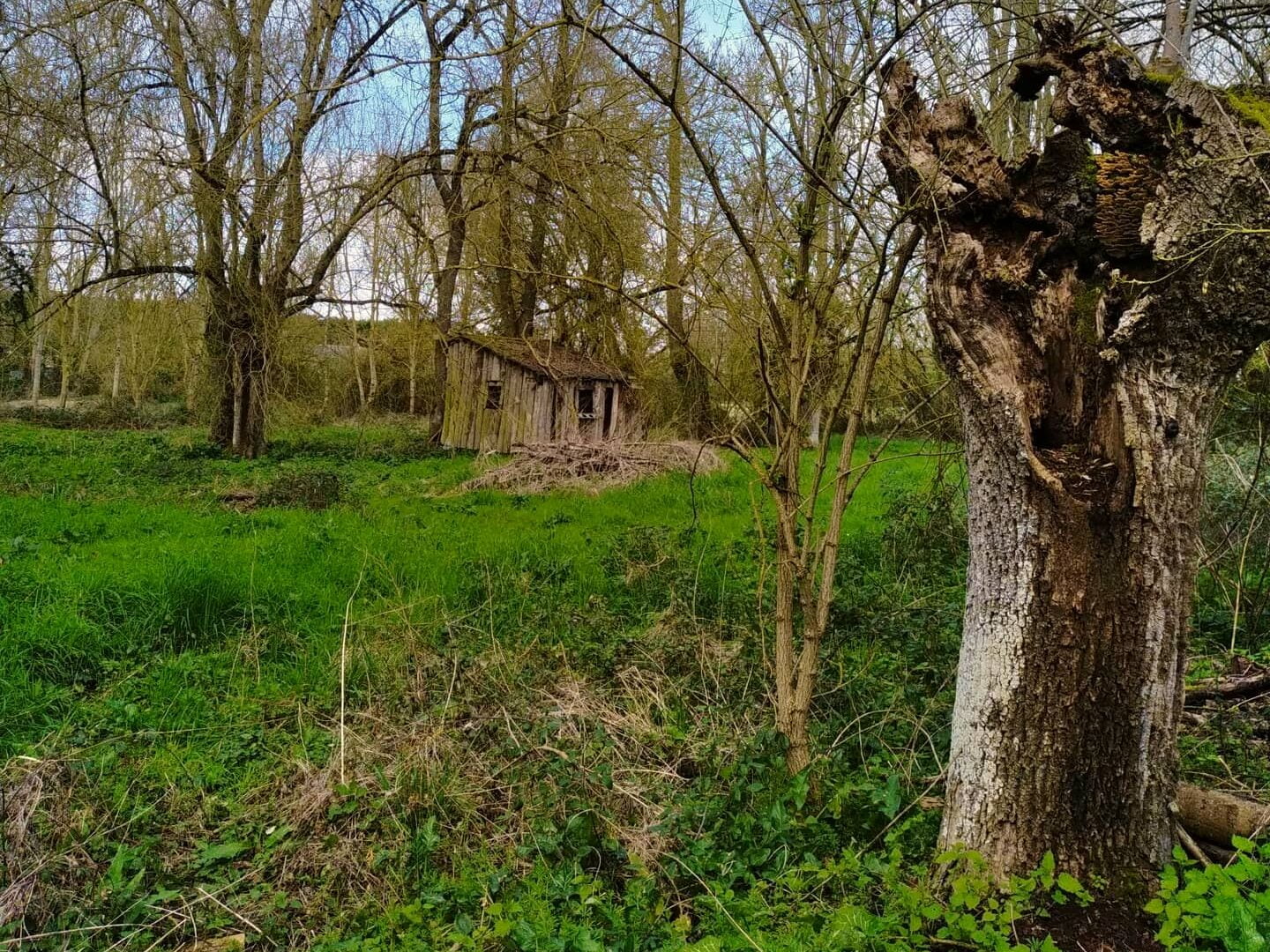 Arbre habitant ferme Passeurs de terres Port a Fondu Beaufort (49)