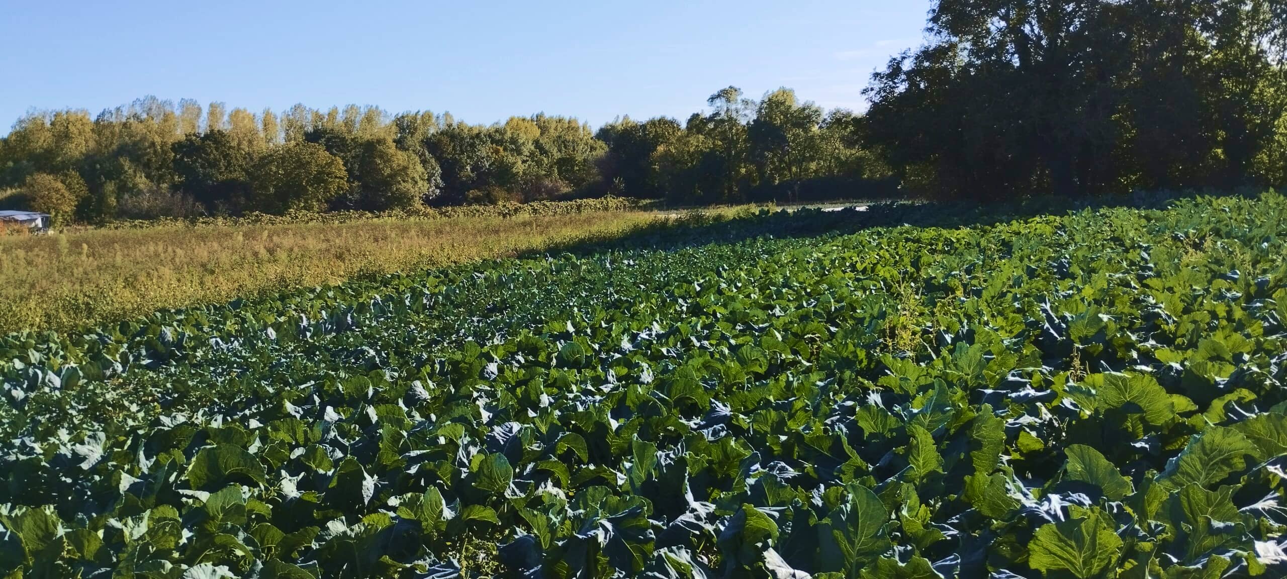 Panorama ferme Port a Fondu Beaufort (49)