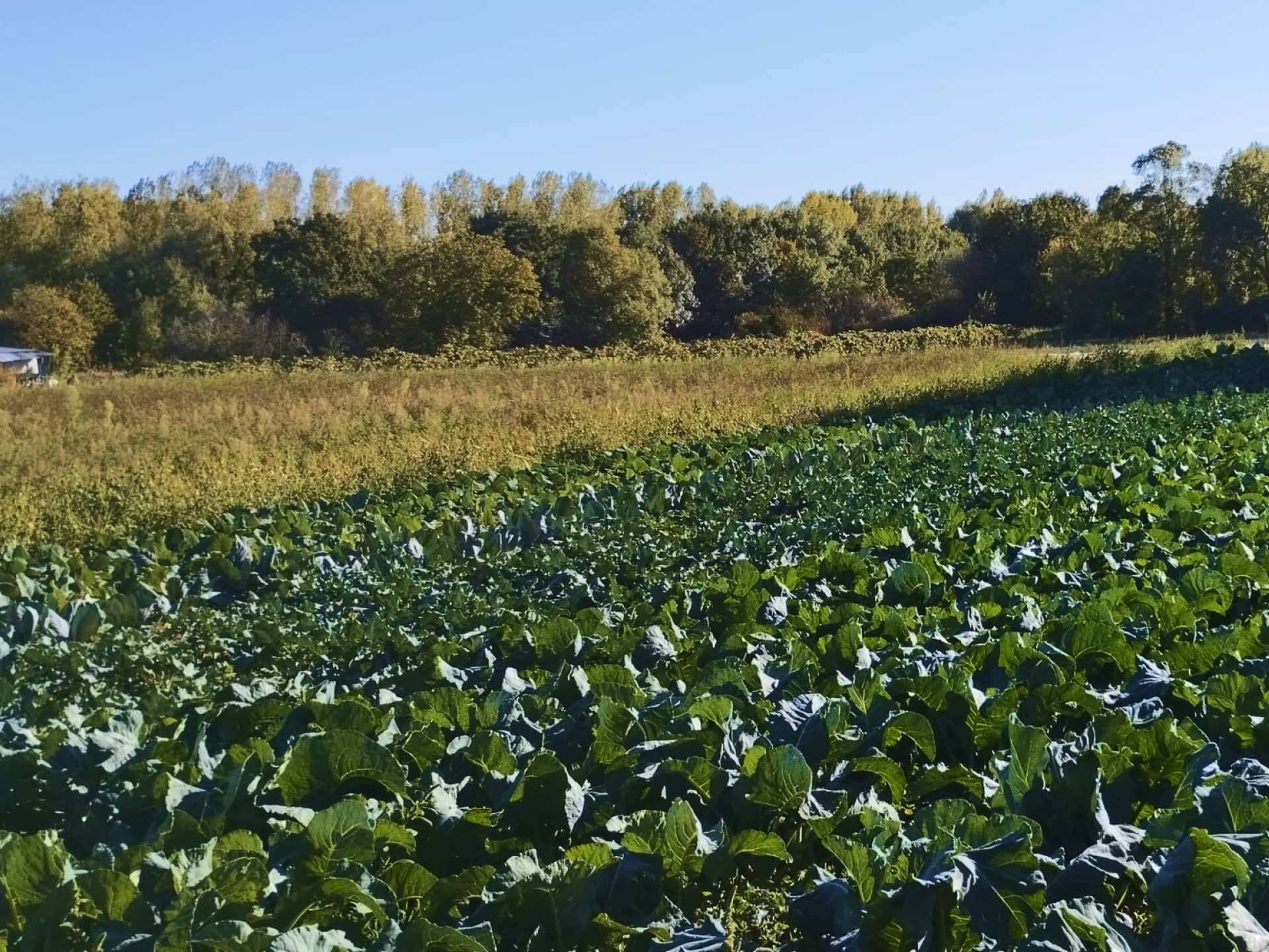Photo de la ferme Port-a-Fondu Maine et Loire